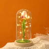 Tulipan Eterno en Cápsula de Cristal